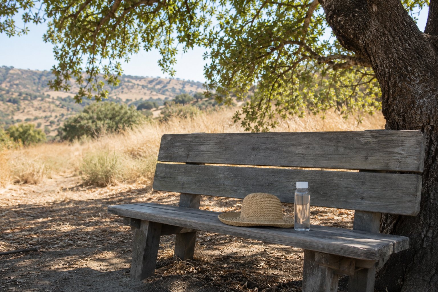 A plain sun hat and water bottle on a bench beneath oak shade.