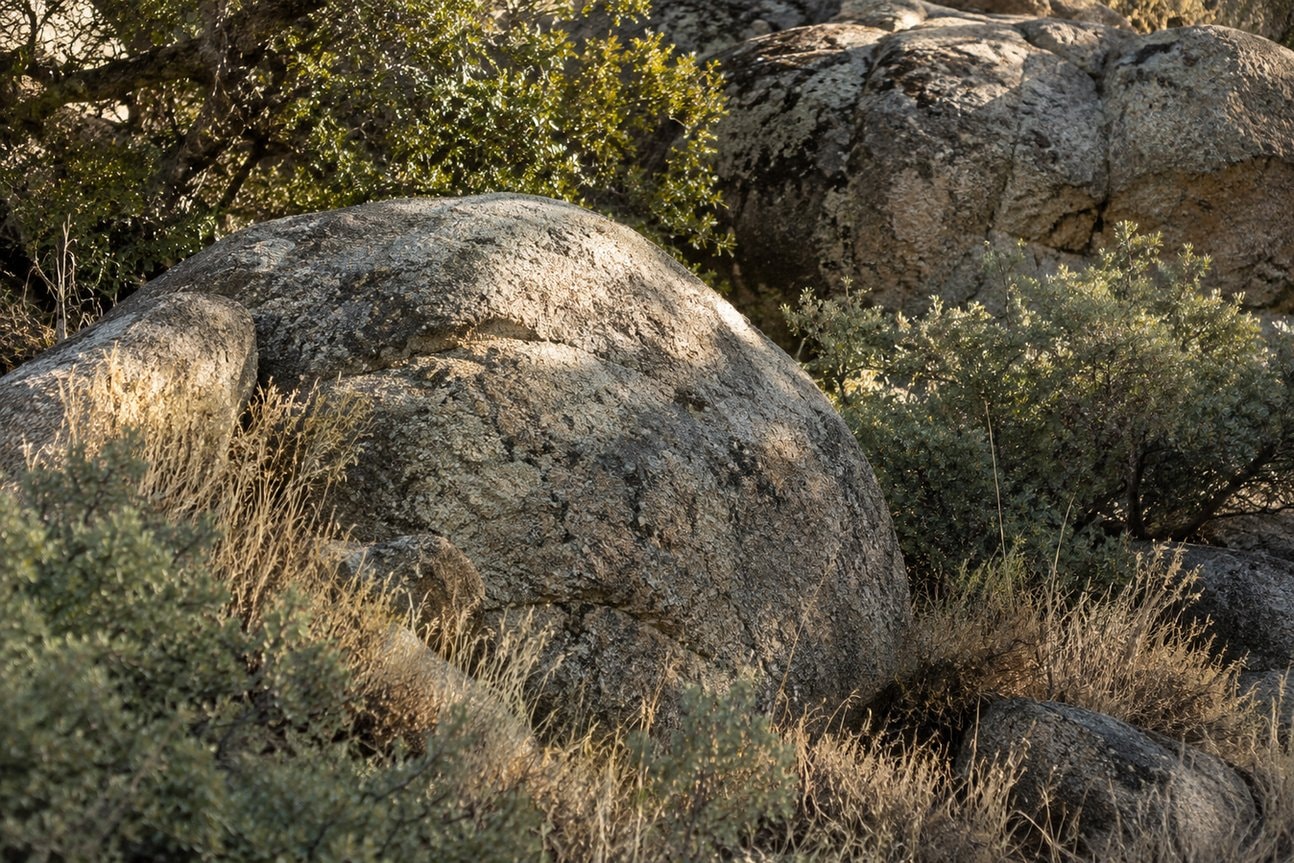 Granite boulders among shrubs and dry grasses.
