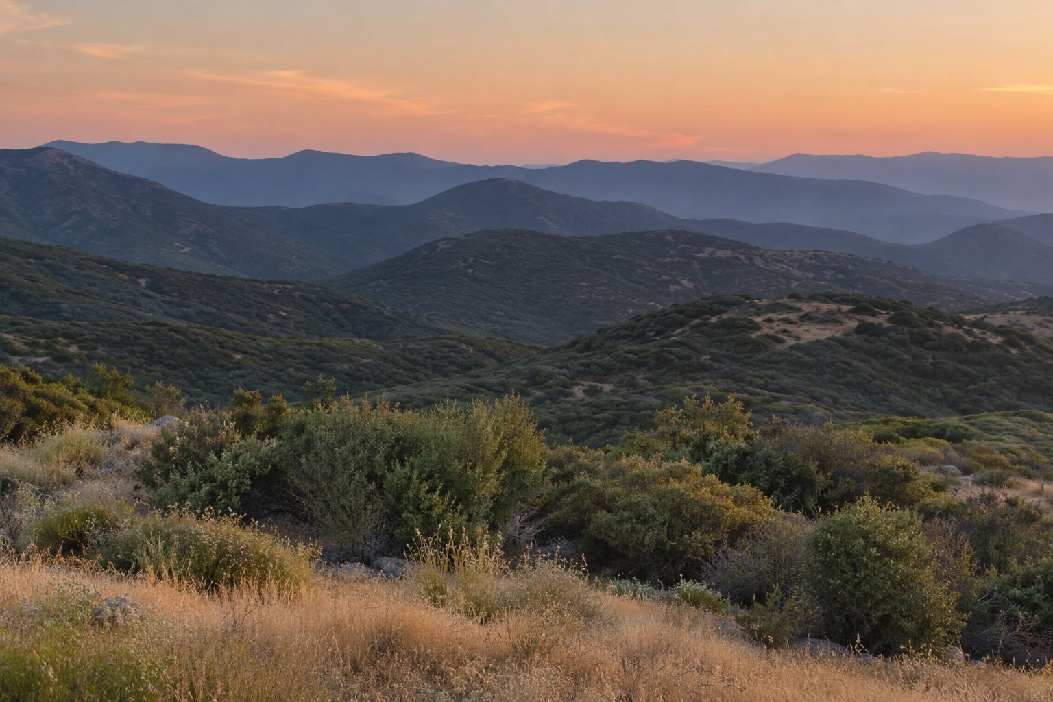 Dry inland hills and shrubs in soft evening light.