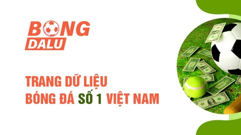 Bongdalu là kênh trực tiếp bóng đá hôm nay uy tín, chất lượng số 1 Việt Nam